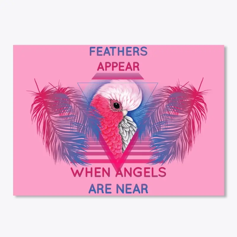 Bandit - Feathers Appear